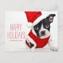 Recherche de boston terrier christmas vœux cartes Dog