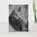 Suche nach katze mit grünen augen karten Grau