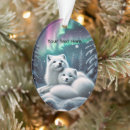 Suche nach polarlichter ornamente Generativitätsinhalt