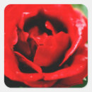 Recherche de 14 février autocollants Jour des valentines