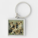 Recherche de comportement accessoires Regarder l'appareil photo