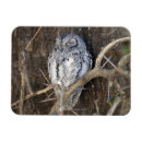 Recherche de sud africain magnets Faune