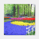 Suche nach lisse Reise