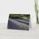 Suche nach lavendel karten Weiß