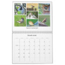 Suche nach kardinal kalender Natur
