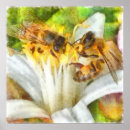 Recherche de insecte mignon posters Nature