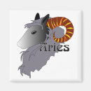 Recherche de ram magnets Aries