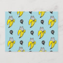 Recherche de joli chat cartes postales Animal