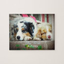 Recherche de chiens de berger australiens puzzles Chiot