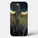 Recherche de de vache coques Vaches