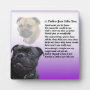 Suche nach buller fotoplatten Stier