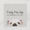 Recherche de dog grooming visitenkarten Pour tous