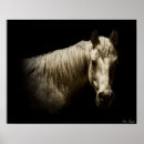 Recherche de occidentaux posters Chevaux