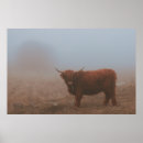 Suche nach cow poster Landscape