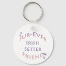 Recherche de irish porteclés Chien