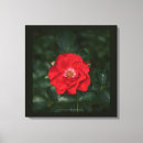 Suche nach p leinwandbilder Blume