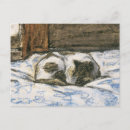 Recherche de lit de chat cartes postales Félin