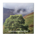 Suche nach schmutzig fliesen Berge