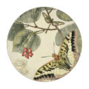 Recherche de libellules planches à découper Insectes