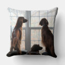 Recherche de fenêtres maison deco Chien