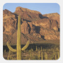 Suche nach jamie aufkleber Wald