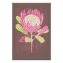 Suche nach protea blume poster Exotisch