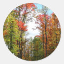 Recherche de tombant autocollants Paysage