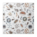 Recherche de molécule carreaux Cellule