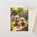 Recherche de furets cartes postales Amoureux des furets
