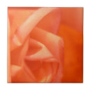 Suche nach orange rosen fliesen Blume