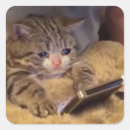 Suche nach reddit aufkleber Meme