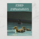 Suche nach babyente poster Vögel