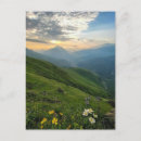 Recherche de highlands cartes postales Nature