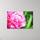Suche nach fuchsie kunst Blüte