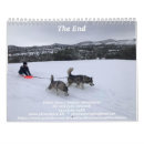 Recherche de chiot bureau fournitures Neige