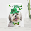 Recherche de tulears cartes postales Coton de tulear