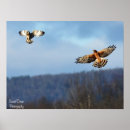Recherche de short posters Nature