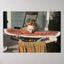 Suche nach lustige wassermelonen poster Sommer
