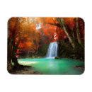 Recherche de du sud est magnets Nature