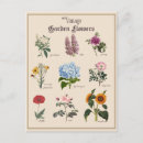 Recherche de jardinage vintage cartes postales Floral