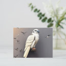 Suche nach kite postkarten Vogelvogel