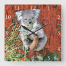 Suche nach cute koala poster Koalas