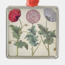 Suche nach mohnblumen ornamente Botanisch