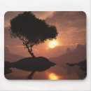 Suche nach einziger baum Sonnenuntergang