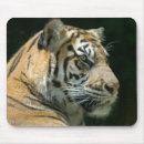 Suche nach sumatran mousepads Wild lebende tiere