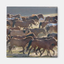 Suche nach mongolei magnete Pferd
