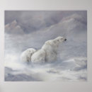 Suche nach artic poster Winter