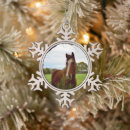 Suche nach kastanien ornamente Pony