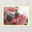 Suche nach alte tage postkarten Baby