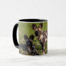 Suche nach wilder hund tassen Afrikanische wildhunde